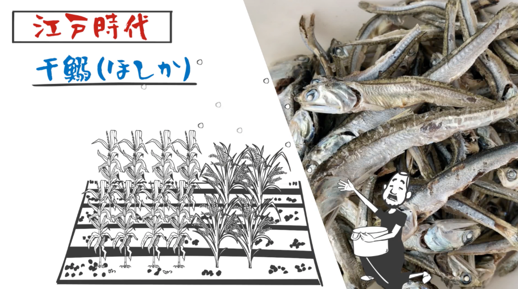 干鰯